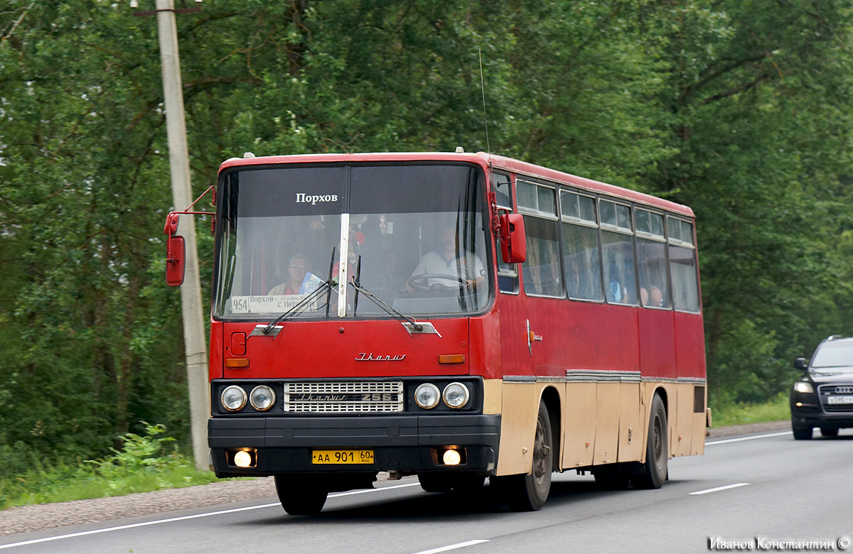 Псковская область, Ikarus 256 № 191