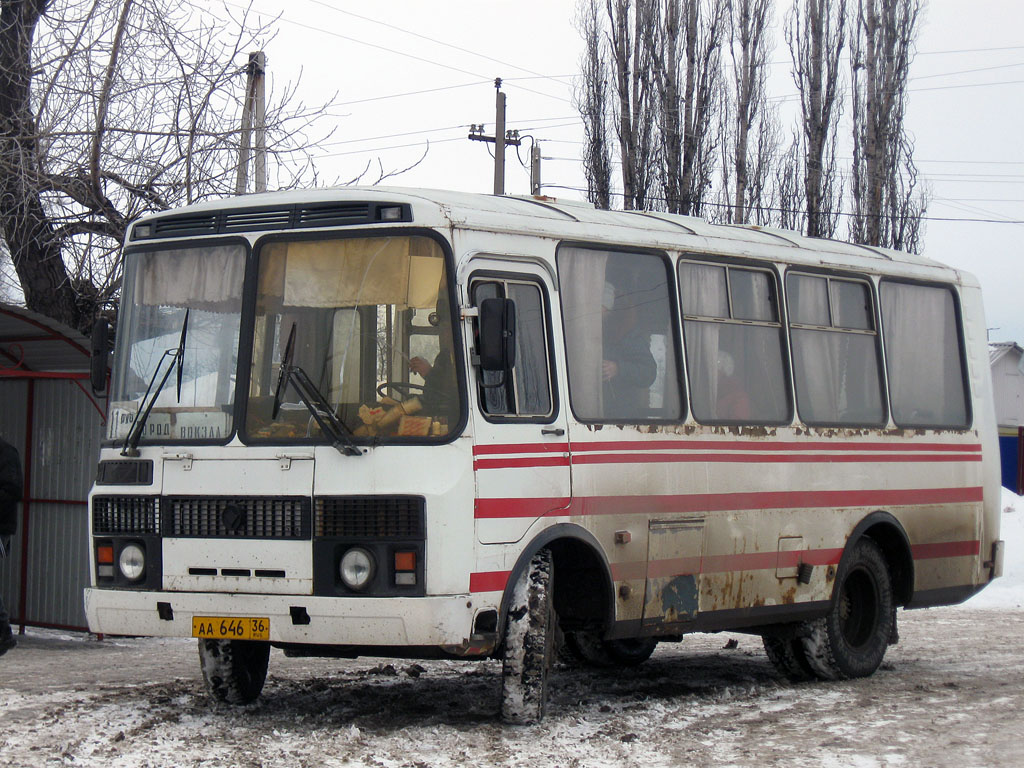 Воронежская область, ПАЗ-3205-110 № АА 646 36