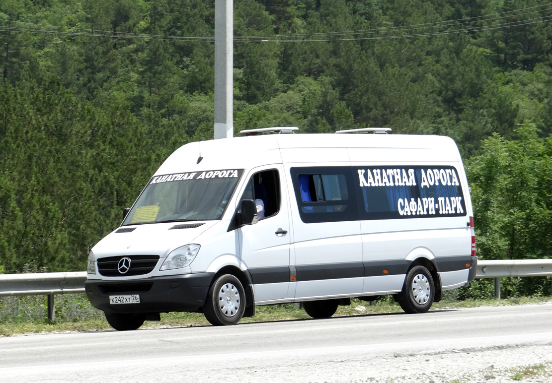 Krasnodar region, Mercedes-Benz Sprinter W906 313CDI # К 242 ХТ 26
