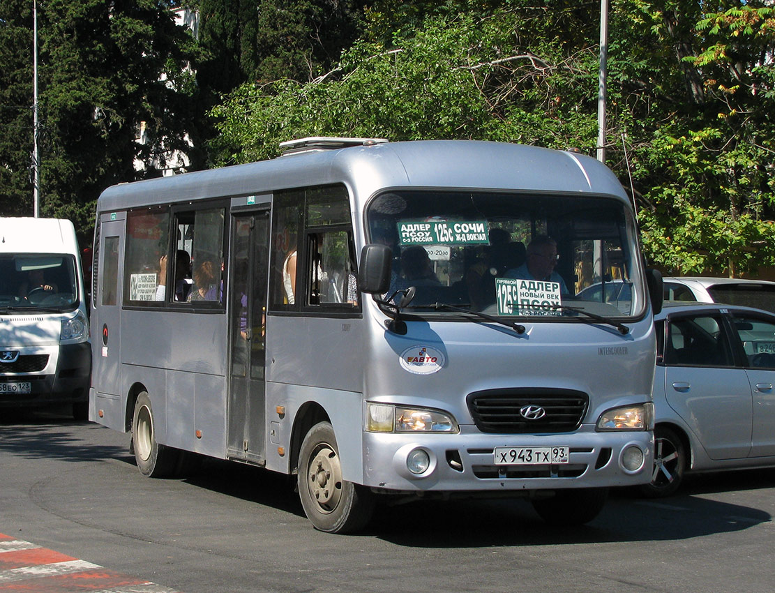 Краснодарский край, Hyundai County LWB C09 (ТагАЗ) № Х 943 ТХ 93