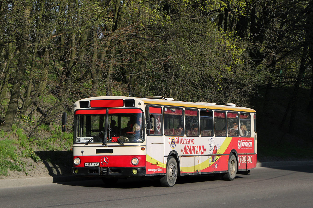 Калининградская область, Mercedes-Benz O307 № У 497 УУ 39