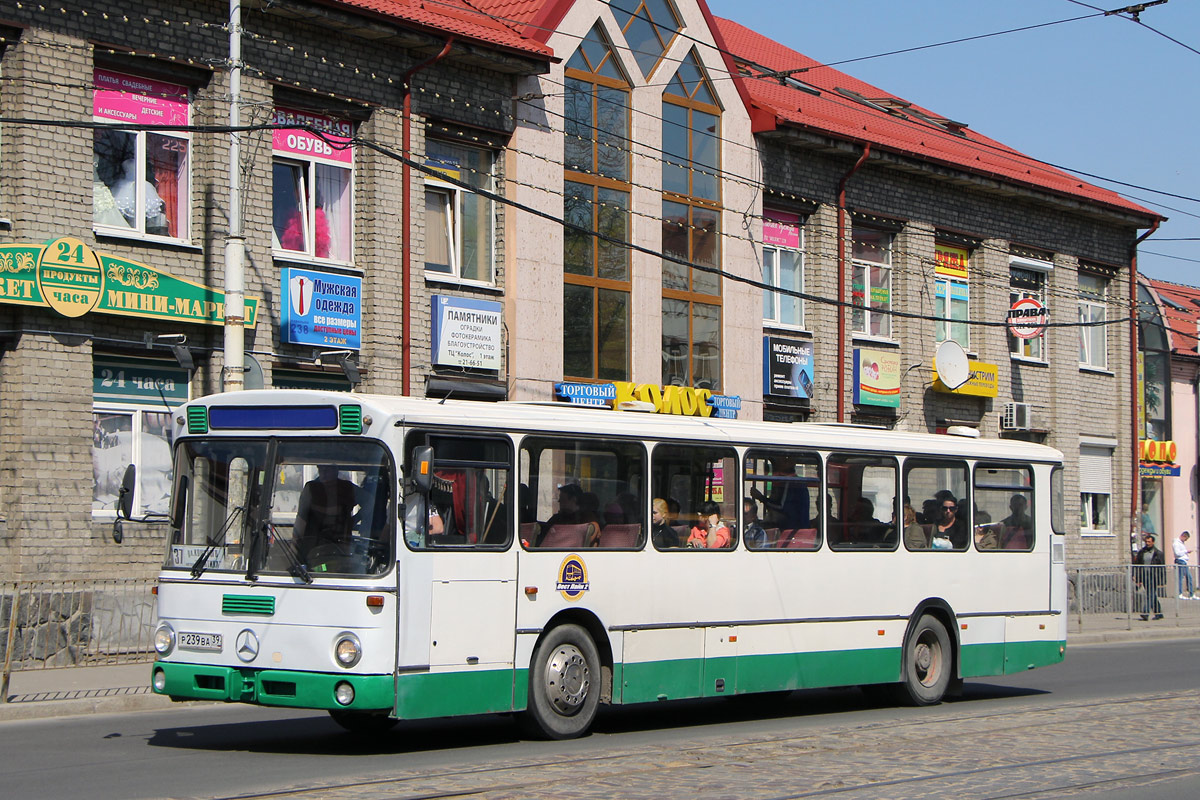 Kaliningrad region, Mercedes-Benz O307 # Р 239 ВА 39