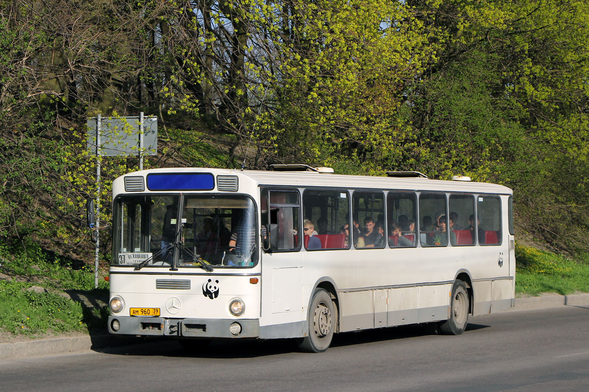 Kalinyingrádi terület, Mercedes-Benz O307 sz.: АМ 960 39