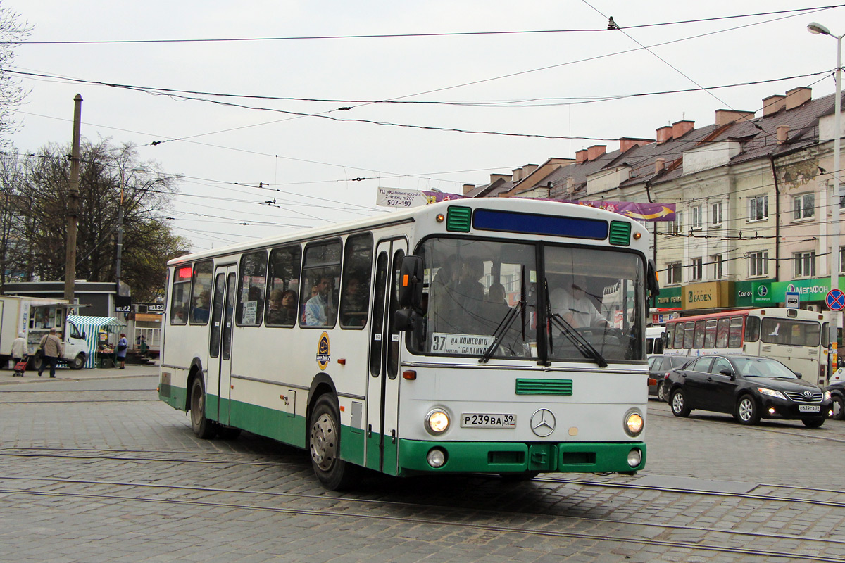 Obwód królewiecki, Mercedes-Benz O307 Nr Р 239 ВА 39