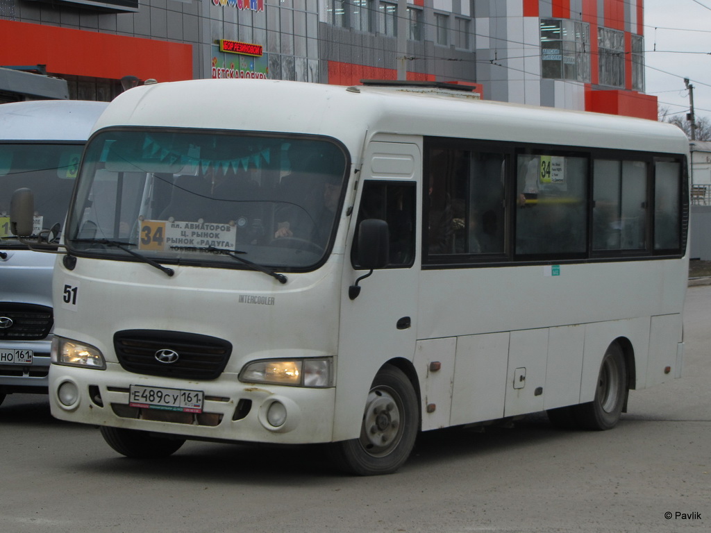 Ростовская область, Hyundai County LWB C09 (ТагАЗ) № 51