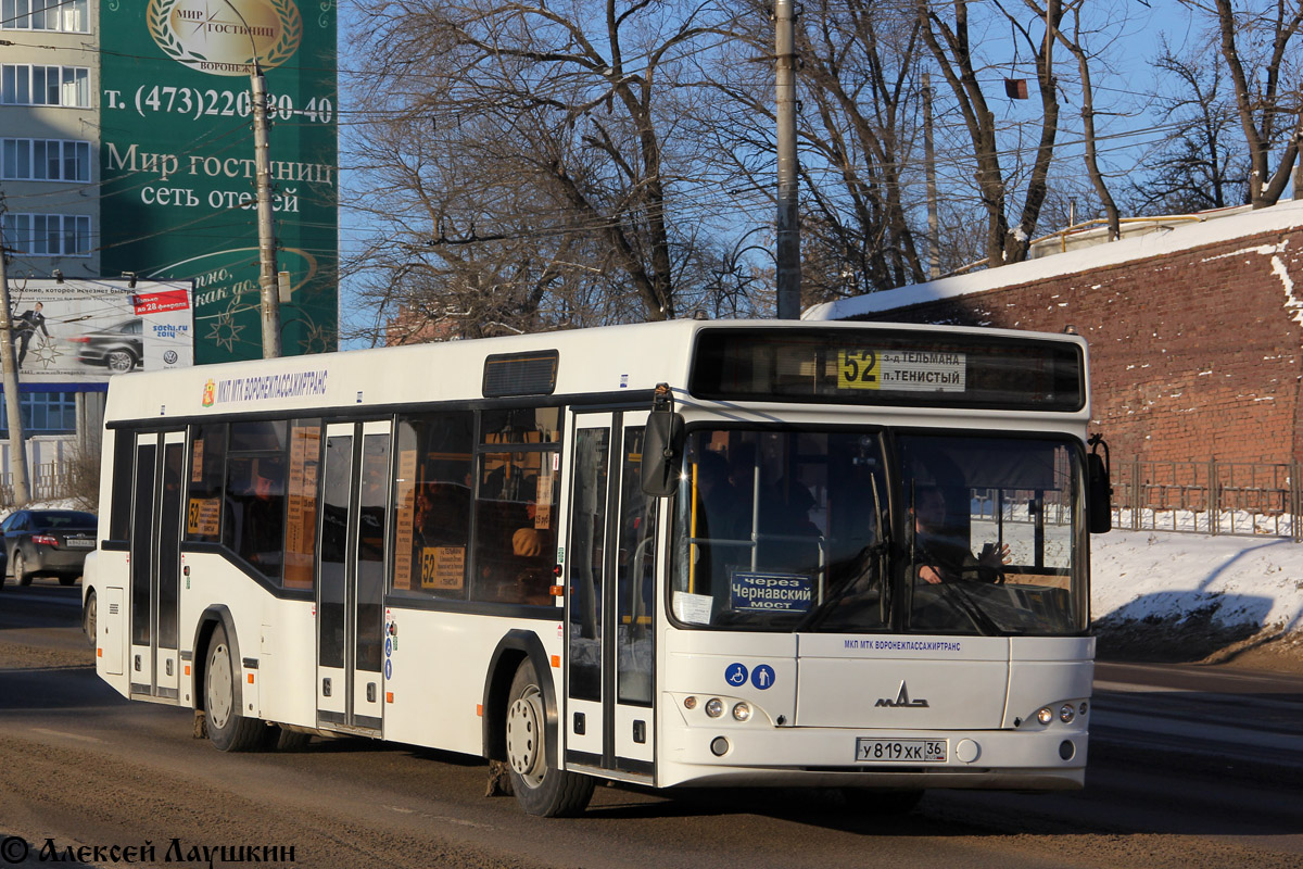 Воронежская область, МАЗ-103.469 № У 819 ХК 36