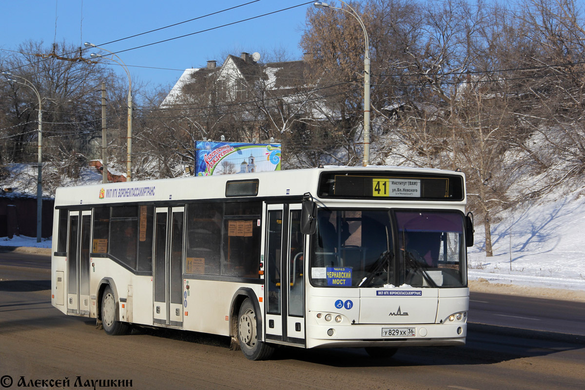 Воронежская область, МАЗ-103.469 № У 829 ХК 36