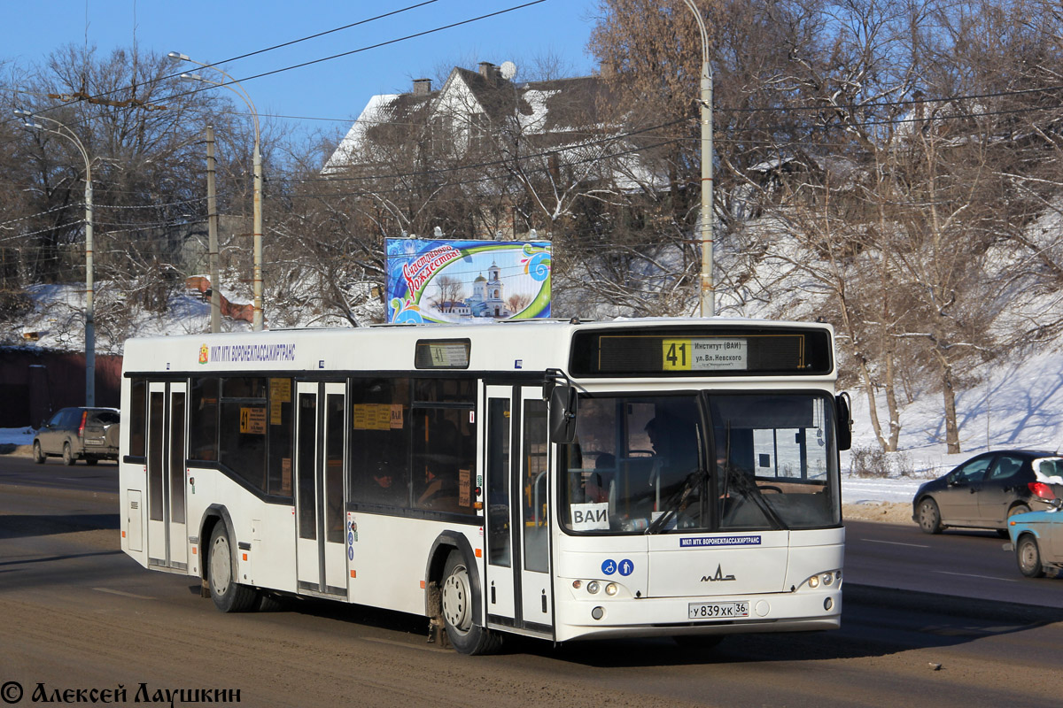 Воронежская область, МАЗ-103.469 № У 839 ХК 36