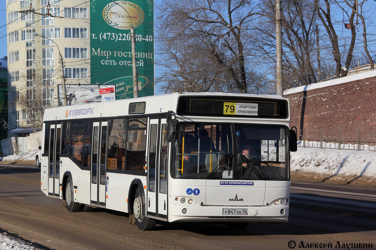 Воронежская область, МАЗ-103.469 № У 847 ХК 36