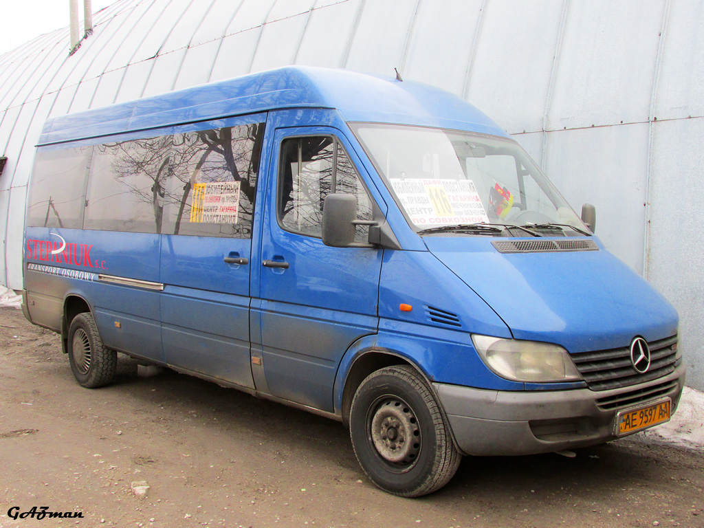 Днепропетровская область, Mercedes-Benz Sprinter W903 313CDI № AE 9597 AA