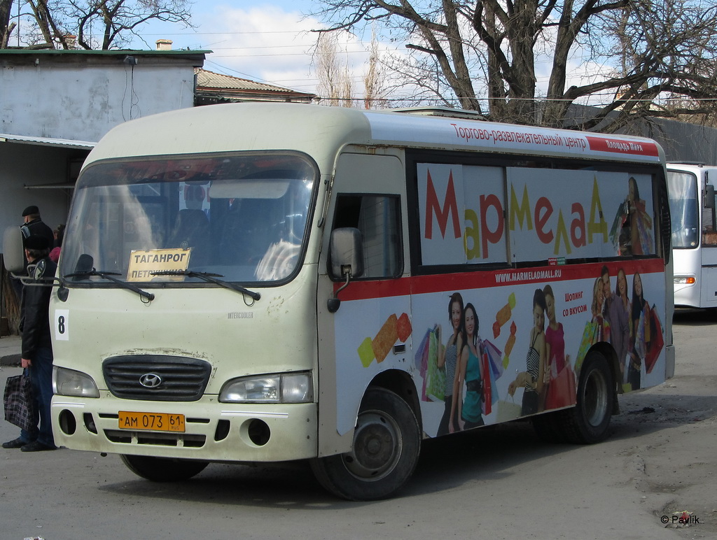 Ростовская область, Hyundai County SWB C08 (РЗГА) № 8