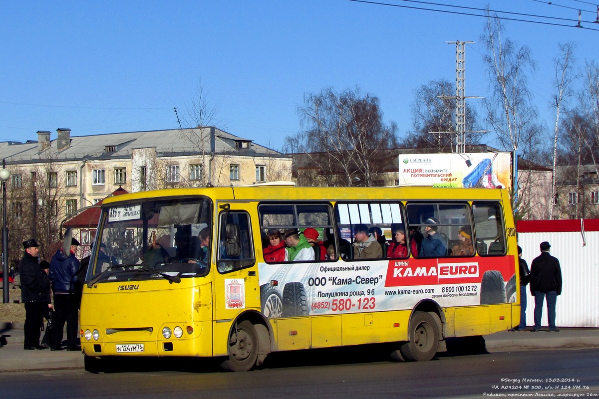 Ярославская область, ЧА A09204 № 300