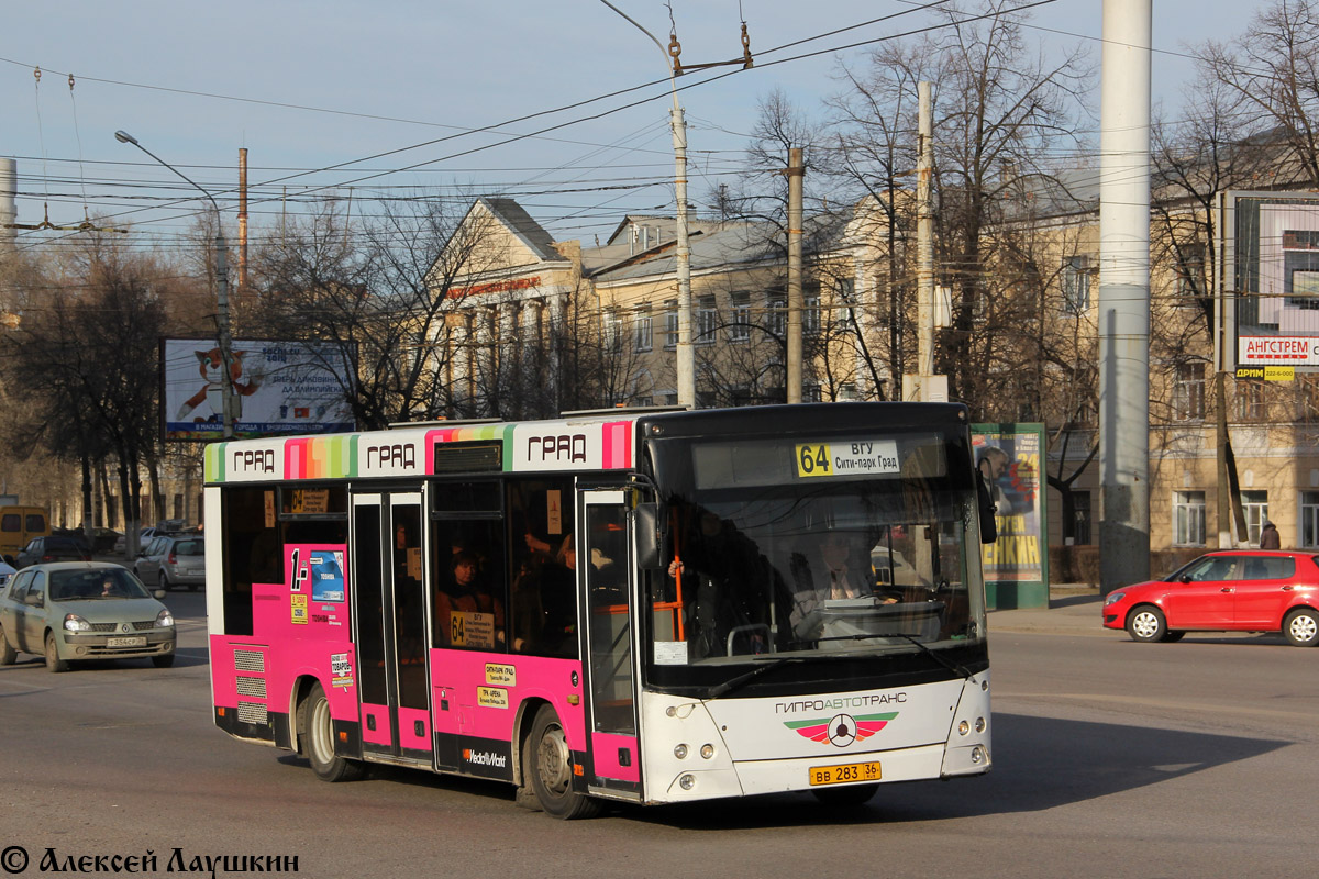 Варонежская вобласць, МАЗ-206.060 № ВВ 283 36