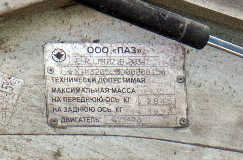 Нижегородская область, ПАЗ-32054 № М 652 ЕВ 152