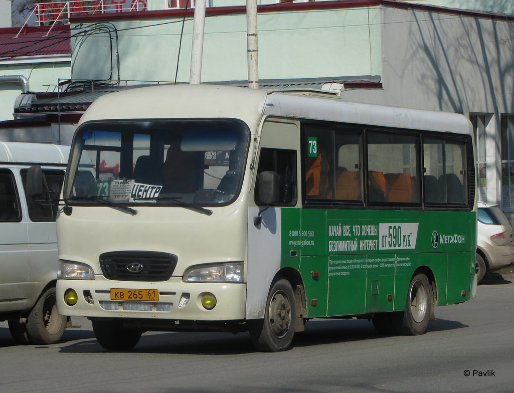 Ростовская область, Hyundai County SWB C08 (РЗГА) № 98