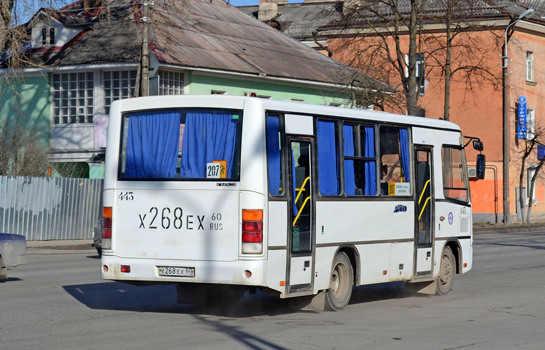 Псковская область, ПАЗ-320402-05 № 443