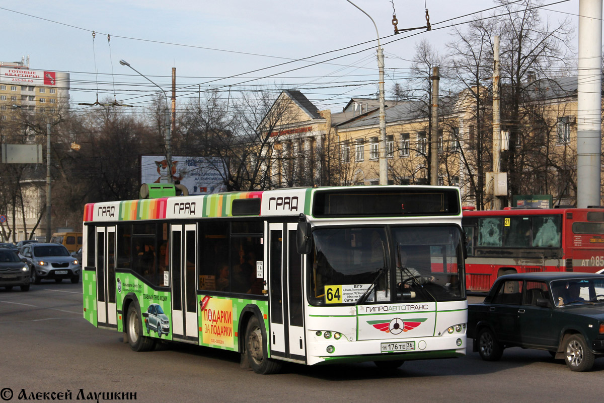 Воронежская область, МАЗ-103.476 № Н 176 ТЕ 36