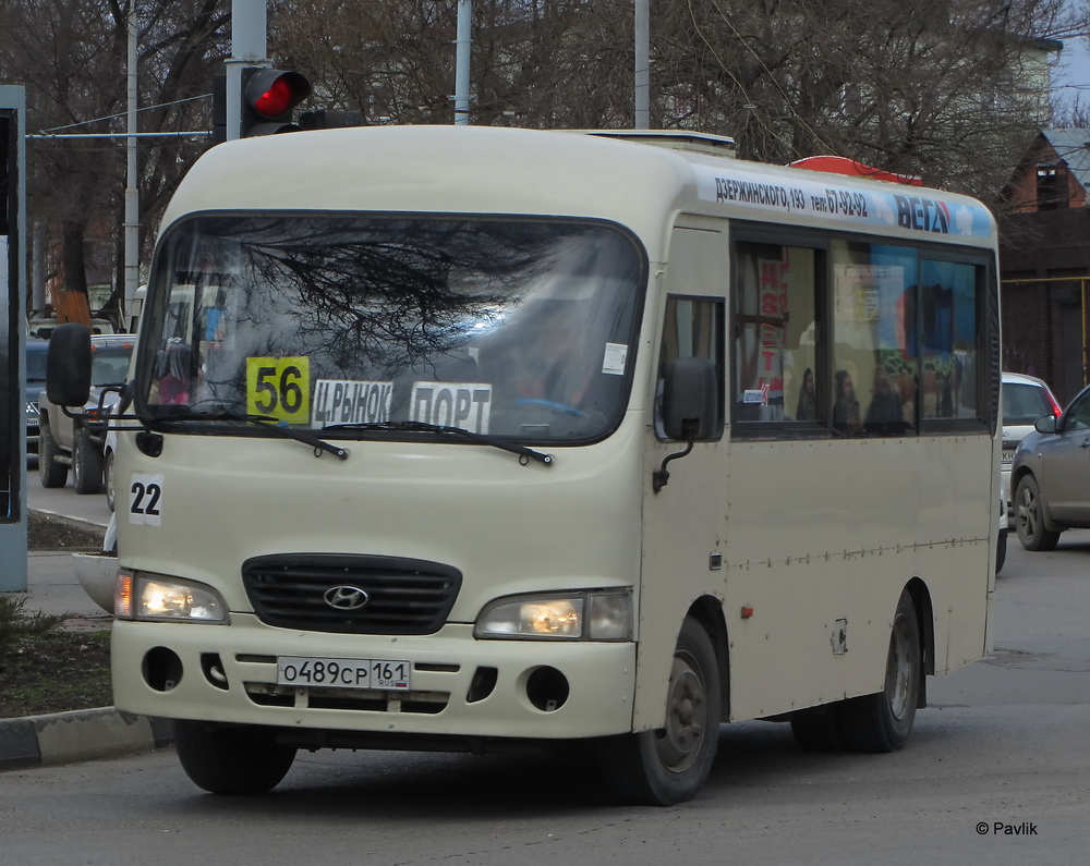 Ростовская область, Hyundai County SWB C08 (РЗГА) № 22