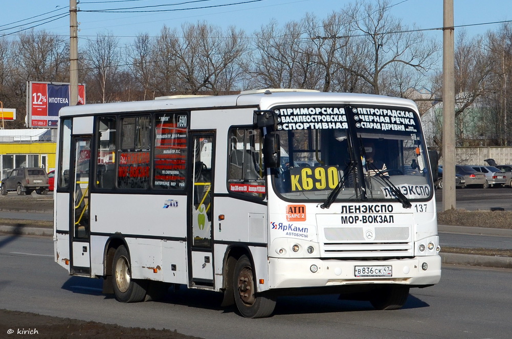 Санкт-Петербург, ПАЗ-320402-03 № 137