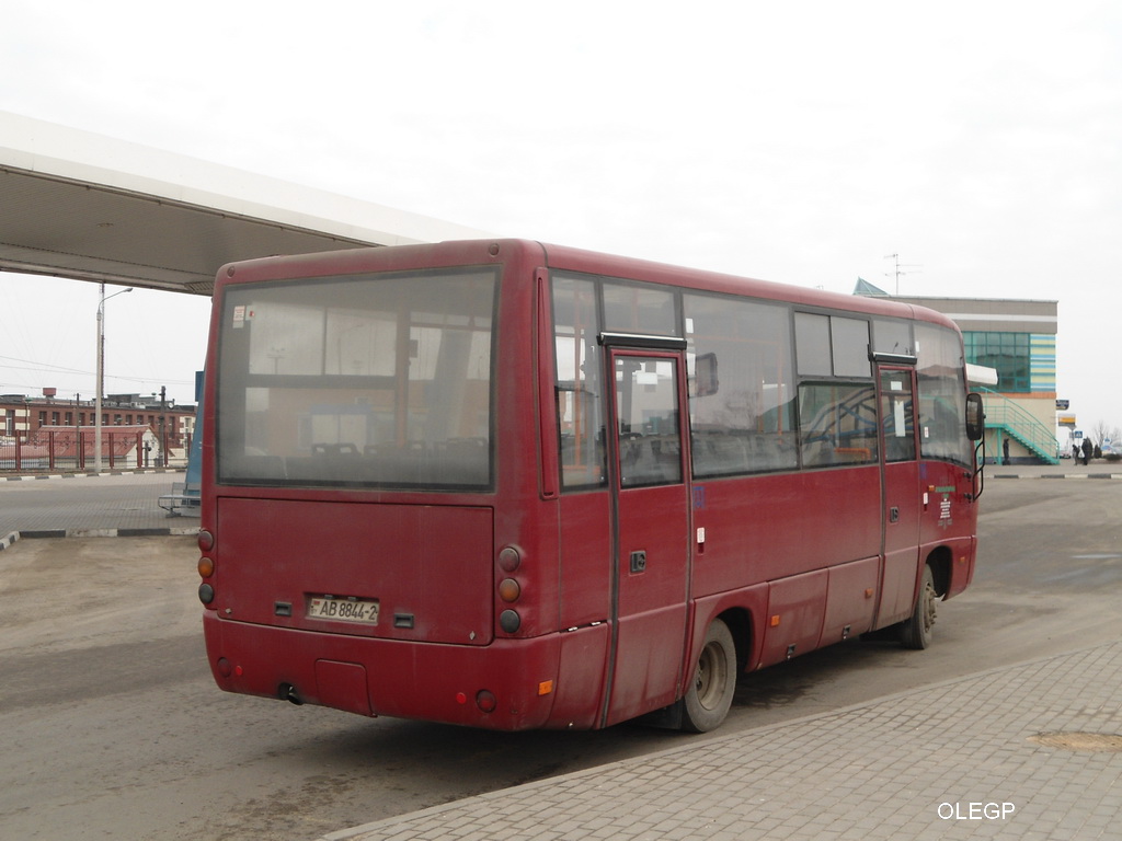 Витебская область, МАЗ-256.270 № 20801