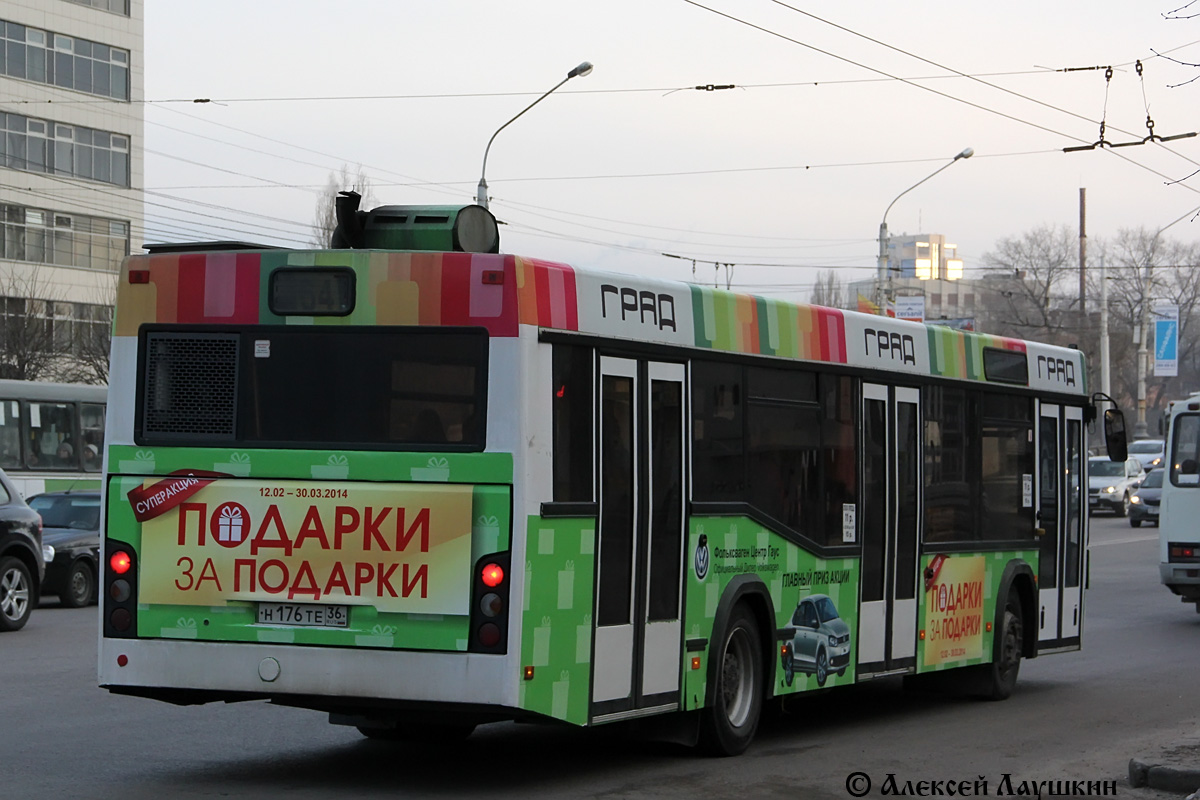 Воронежская область, МАЗ-103.476 № Н 176 ТЕ 36