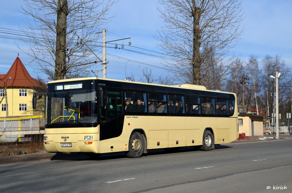 Санкт-Петербург, MAN A72 Lion's Classic SÜ313 № В 977 ОР 98