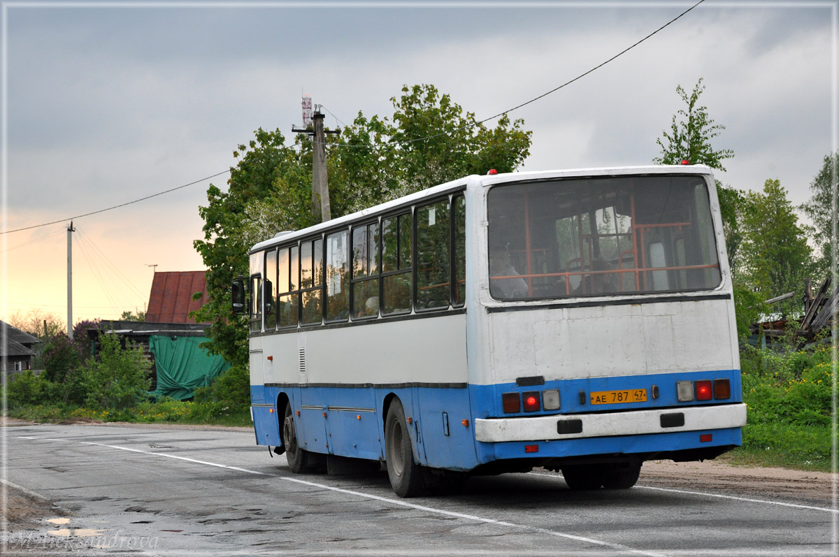 Ленинградская область, Ikarus 263.10 № АЕ 787 47