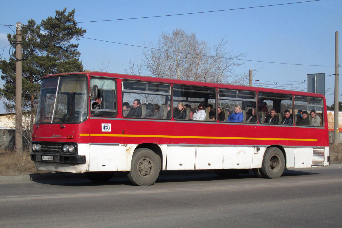 Иркутская область, Ikarus 255 № Х 443 ВР 38