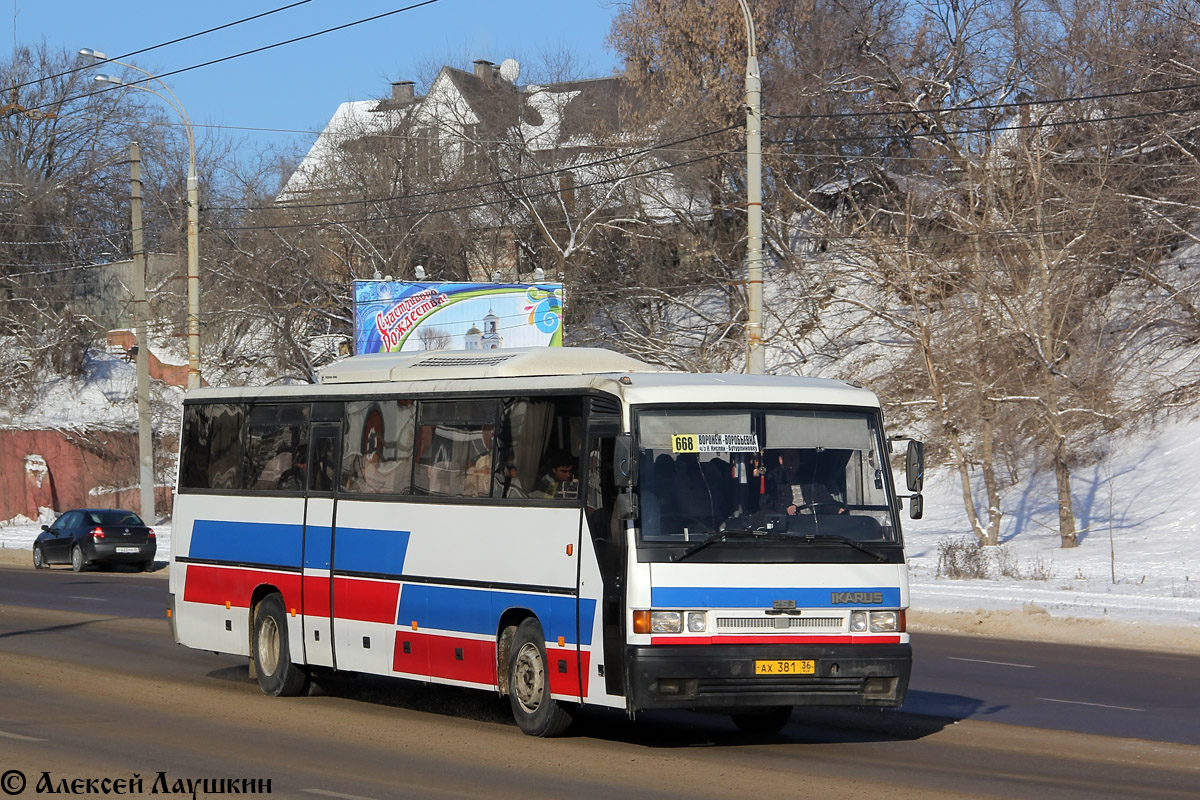 Воронежская область, Ikarus 253.52 № АХ 381 36