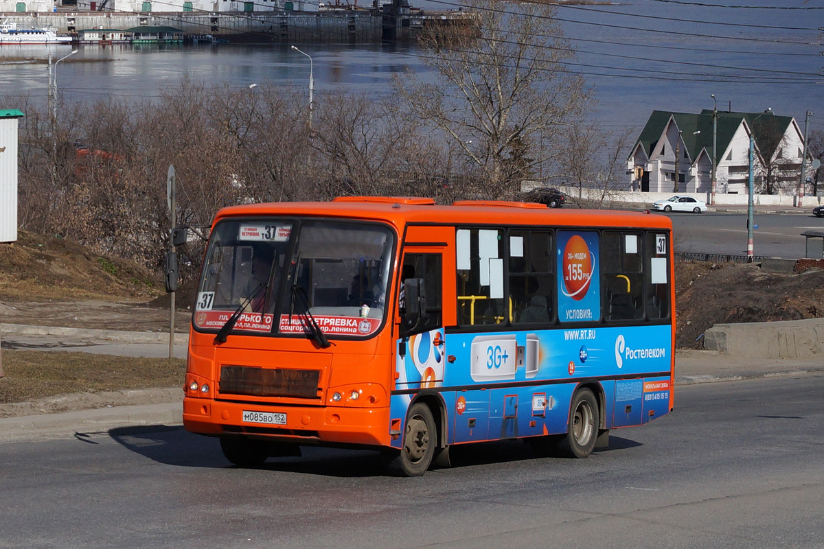 Нижегородская область, ПАЗ-320402-05 № М 085 ВО 152