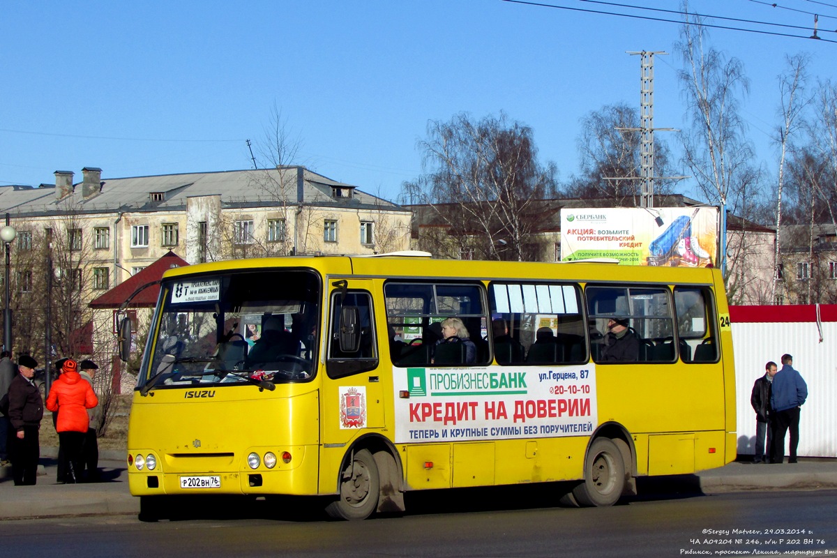 Yaroslavl region, ChA A09204 Nr. 246