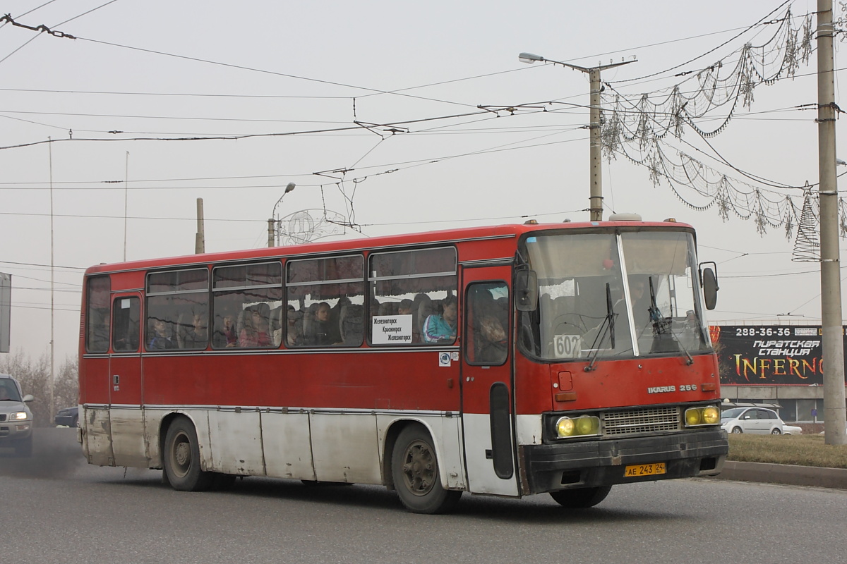 Красноярский край, Ikarus 256.74 № АЕ 243 24