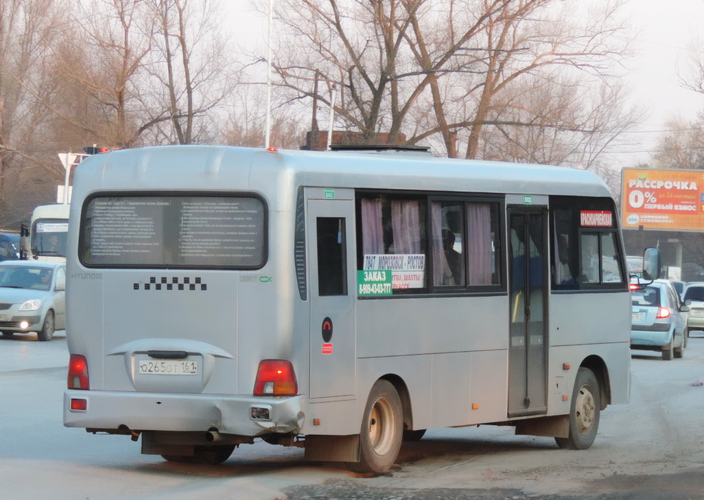 Ростовская область, Hyundai County LWB C11 (ТагАЗ) № О 265 ОТ 161