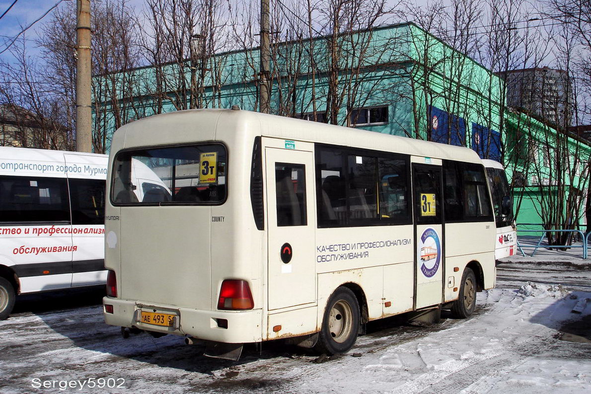 Мурманская область, Hyundai County SWB (группа ТагАЗ) № АЕ 493 51