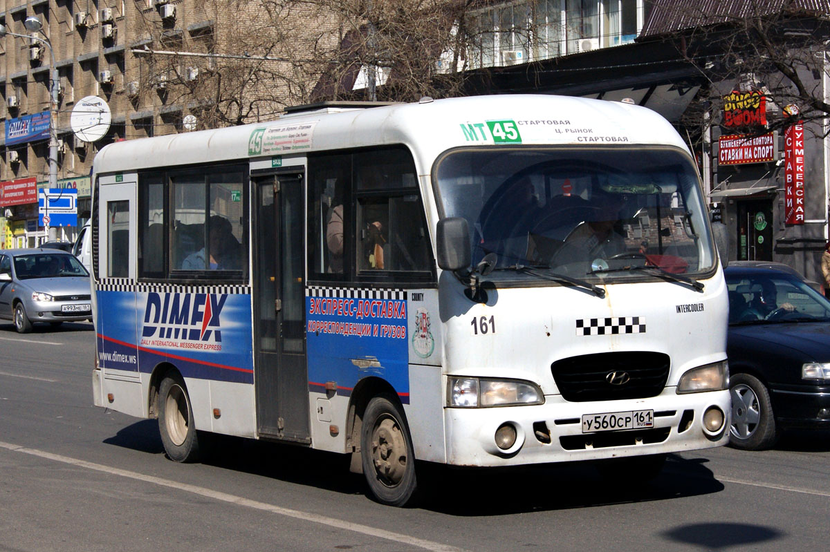 Ростовская область, Hyundai County SWB C08 (ТагАЗ) № 161