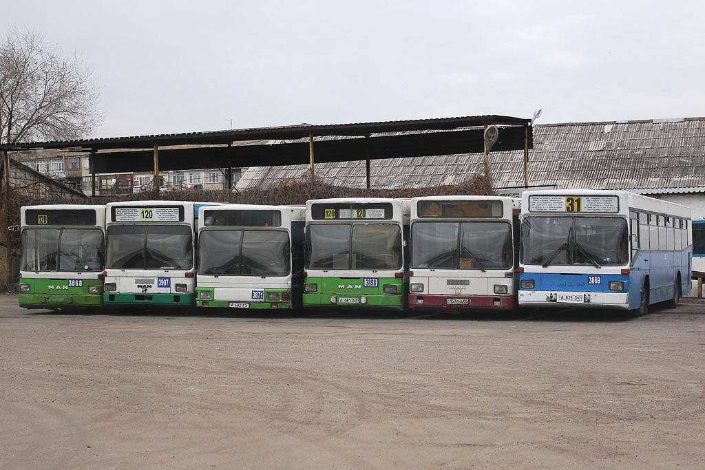 Almaty, MAN A60 SL232 Nr. 3868; Almaty, MAN 791 SL202 Nr. 3907; Almaty, MAN A12 EL202 Nr. 3871; Almaty, MAN A60 SL232 Nr. 3858; Almaty, MAN A60 SL232 Nr. 3869; Almaty — Bus fleets