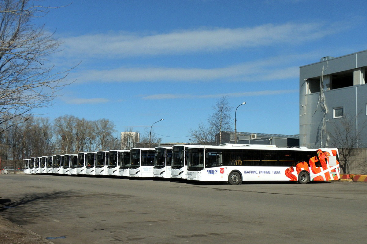 Санкт-Петербург — Новые автобусы