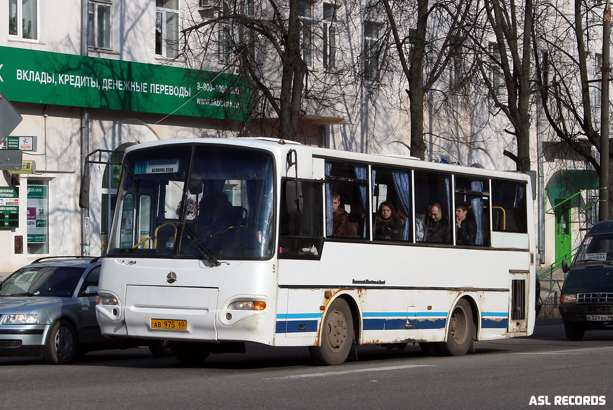 Псковская область, ПАЗ-4230-01 (1-1) (КАвЗ) № 9