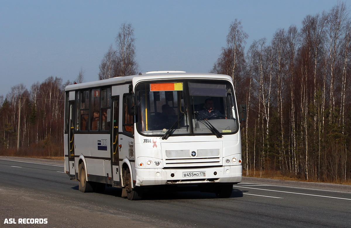 Ленинградская область, ПАЗ-320412-05 № 7814