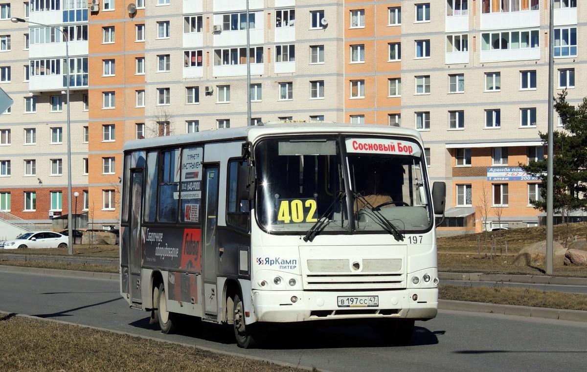 Leningrad region, PAZ-320402-03 # 197
