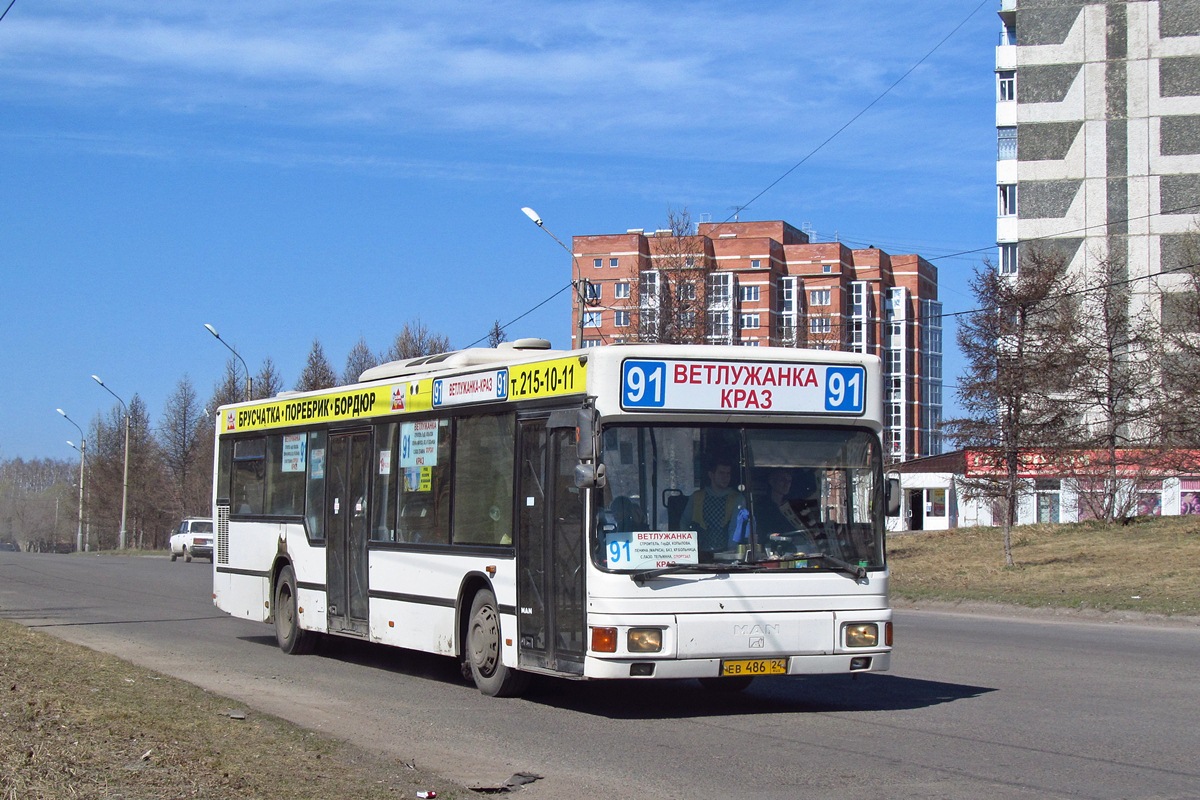 Красноярский край, MAN A10 NL262 № ЕВ 486 24