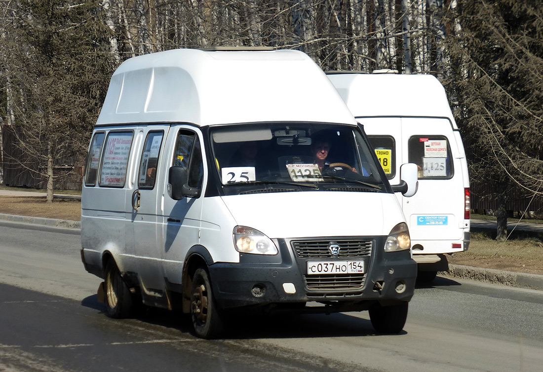 Новосибирская область, Луидор-225000 (ГАЗ-322133) № С 037 НО 154