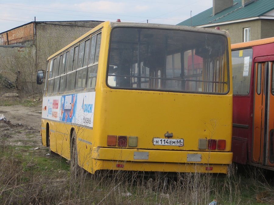 Тамбовская область, Ikarus 260.50 № Н 114 ЕМ 68