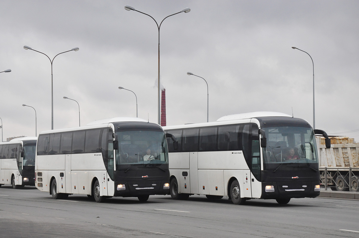 Санкт-Петербург — Новые автобусы