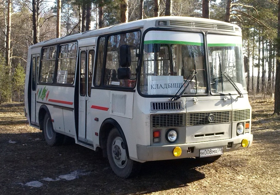 Владимирская область, ПАЗ-32054 № Н 008 МА 33