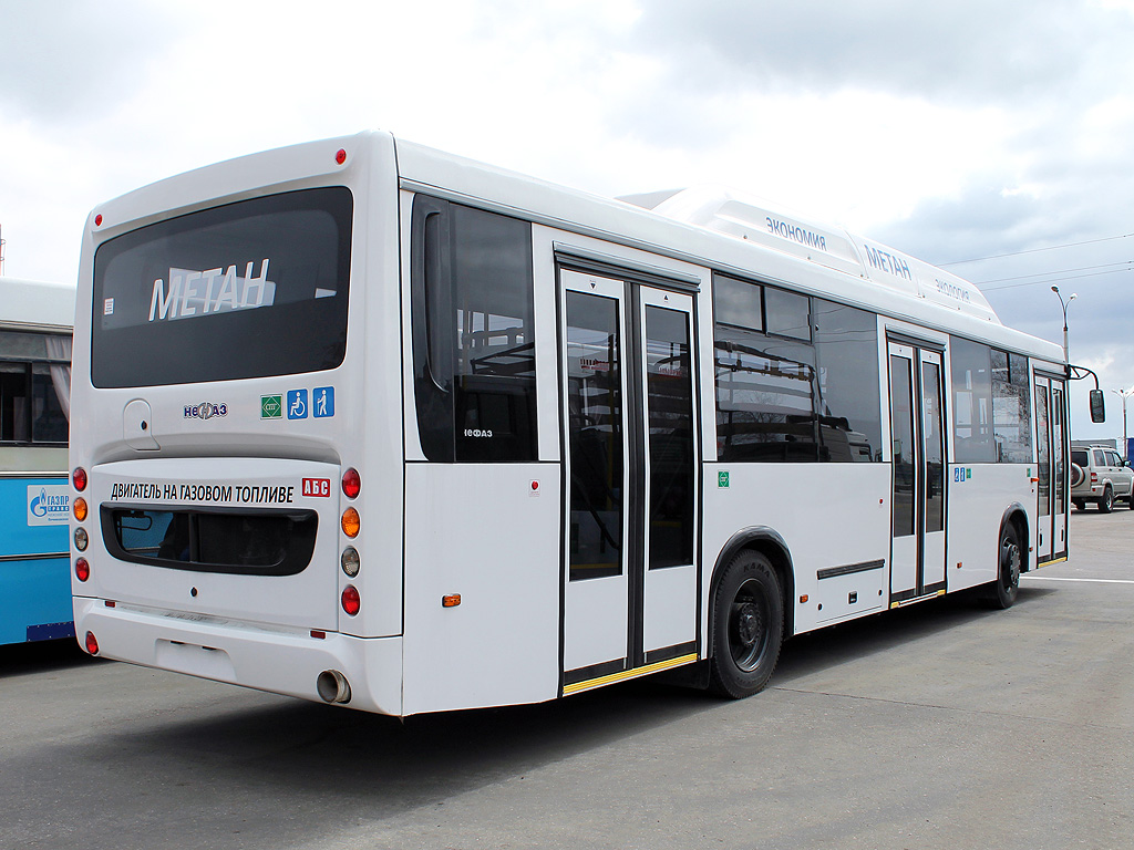 Нижегородская область — Новые автобусы