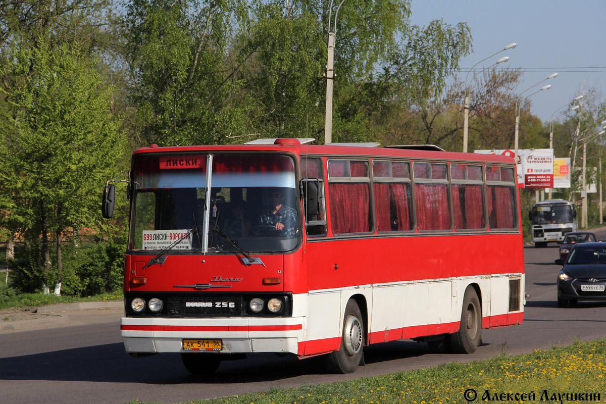 Воронежская область, Ikarus 256.74 № АК 541 36