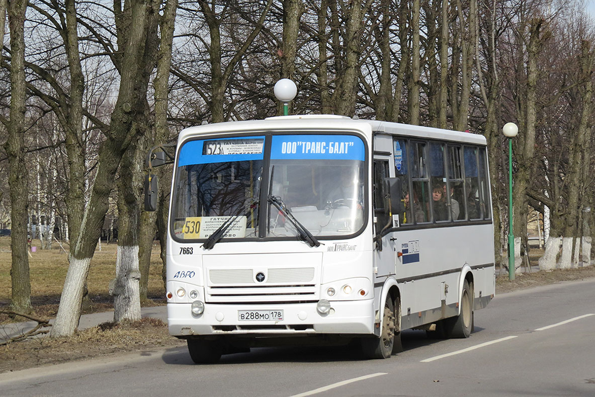 Ленинградская область, ПАЗ-320412-05 № 7663