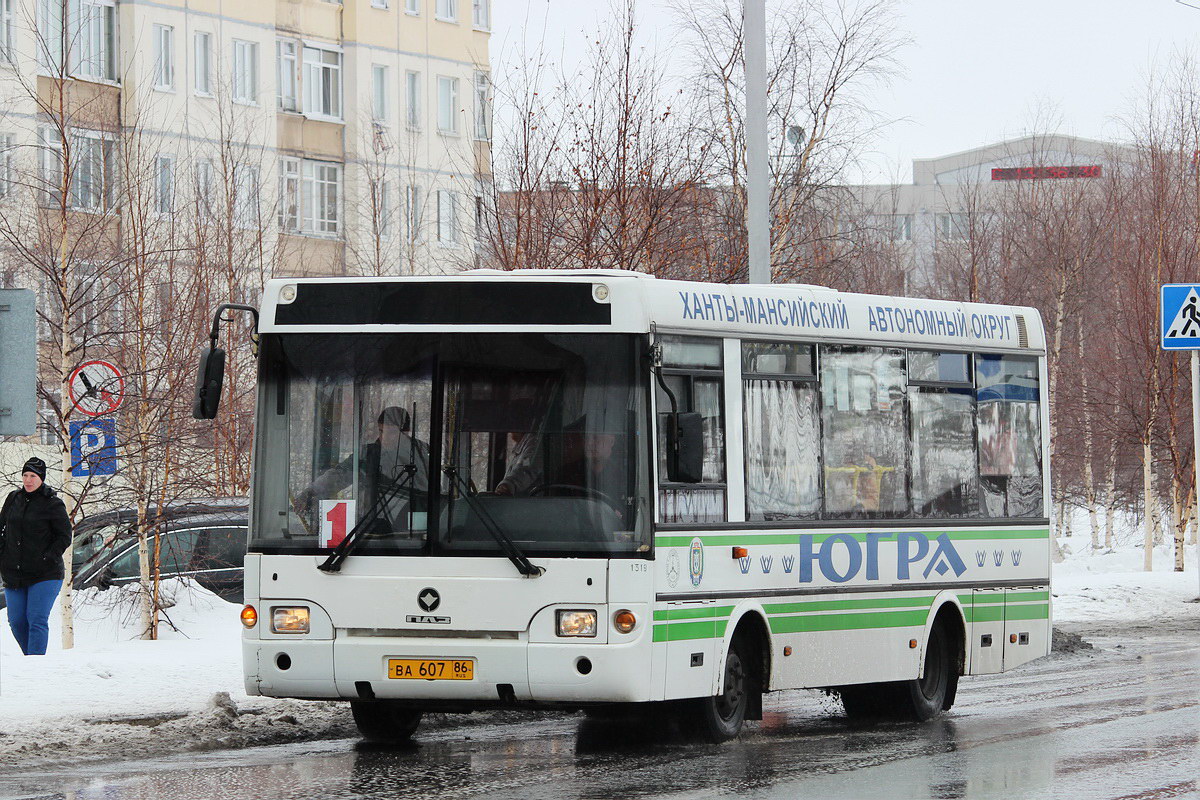 Городской автобус радужный. ПАЗ 3237. ПАЗ-3237 автобус. ПАЗ 3237-01. ПАЗ низкопольный 3237.