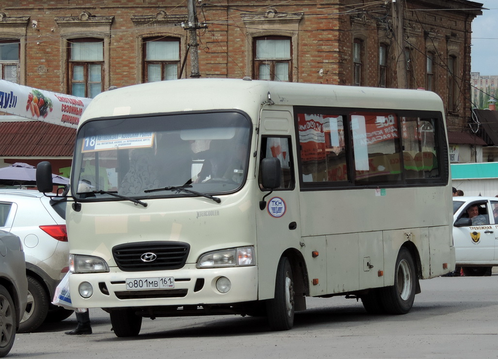 Ростовская область, Hyundai County SWB C08 (РЗГА) № О 801 МВ 161